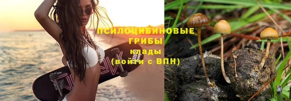 соль ск Олёкминск