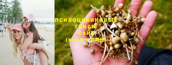 герыч Липки