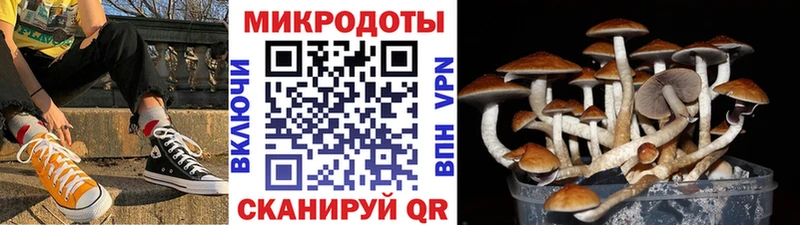Галлюциногенные грибы MAGIC MUSHROOMS Чухлома