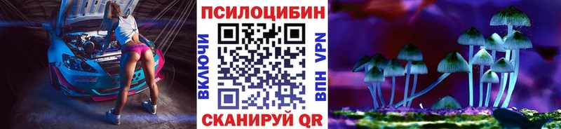 наркота  Чухлома  Галлюциногенные грибы Psilocybe 